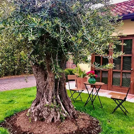 Maison Silvia 4* Treviso