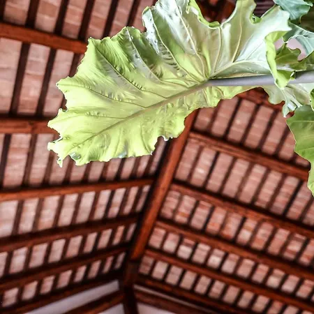 Alojamento de Acomodação e Pequeno-almoço Maison Silvia Treviso