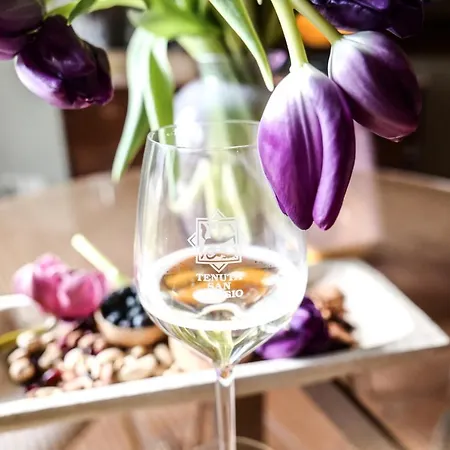 Alojamento de Acomodação e Pequeno-almoço Maison Silvia Treviso