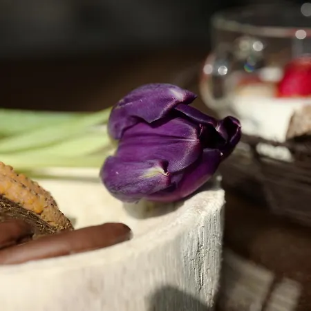 Maison Silvia Alojamento de Acomodação e Pequeno-almoço