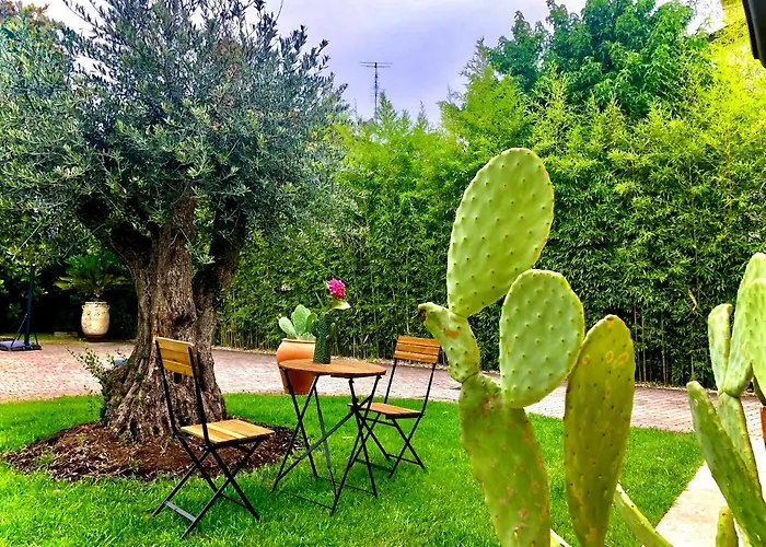 Maison Silvia Nocleg ze śniadaniem Treviso