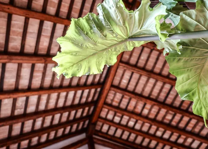 Nocleg ze śniadaniem Maison Silvia Treviso