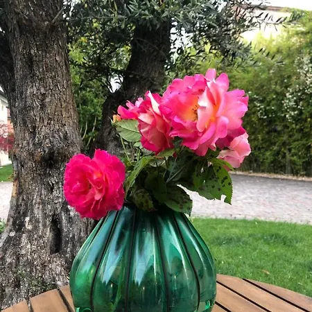 Maison Silvia 4* تريفيزو