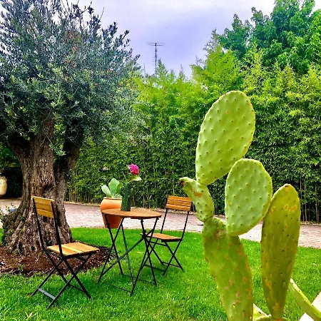 Maison Silvia فندق مبيت وإفطار تريفيزو