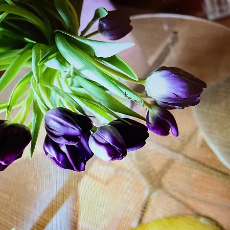 Maison Silvia Bed and breakfast Treviso