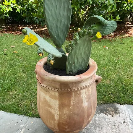 فندق مبيت وإفطار Maison Silvia تريفيزو