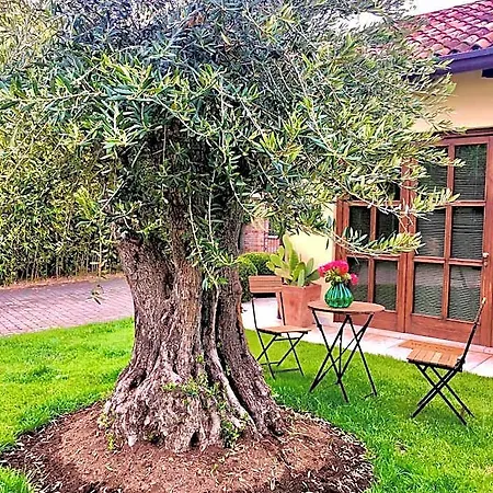 Nocleg ze śniadaniem Maison Silvia 4*