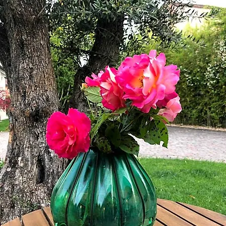 Nocleg ze śniadaniem Maison Silvia Treviso