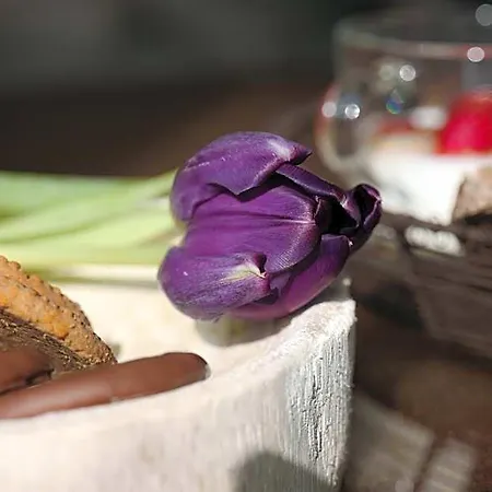 Maison Silvia B&B 트레비소