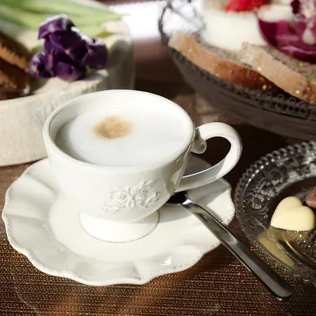 Maison Silvia 4* تريفيزو