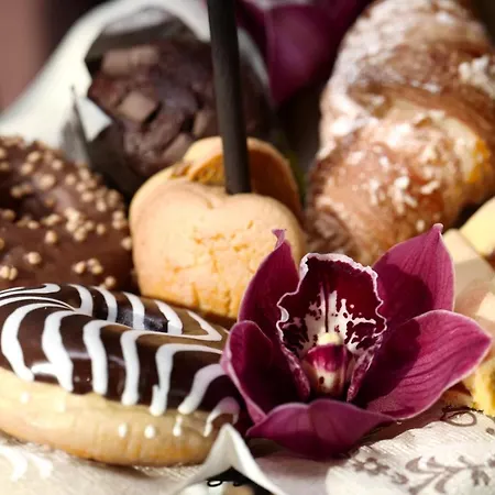 Maison Silvia 4* تريفيزو