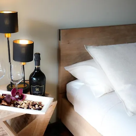 Maison Silvia 4* تريفيزو