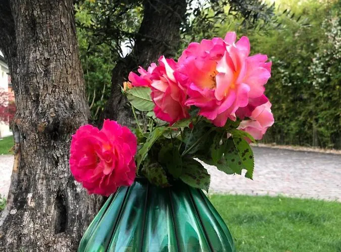 Maison Silvia 4* Treviso