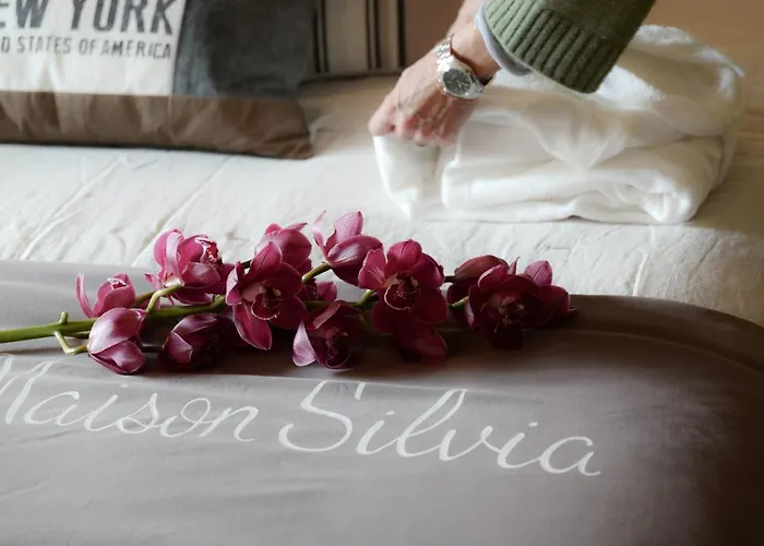 Maison Silvia Bed & Breakfast 4*
