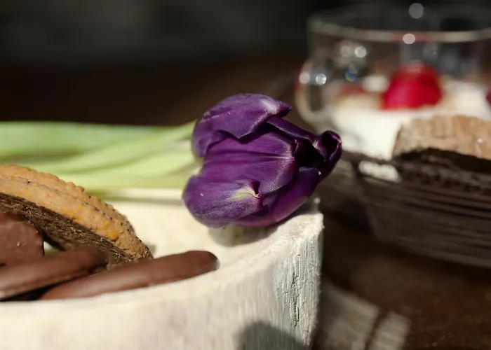 Maison Silvia Bed & Breakfast